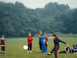 0DIA 1981 RAVA DIVERS